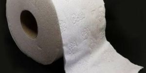 16 GSM Toilet Paper Roll
