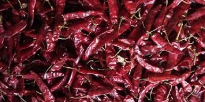 Dry Red Chilly