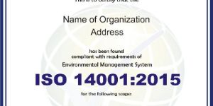 Iso 14001 Consultant