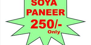 Soya Paneer