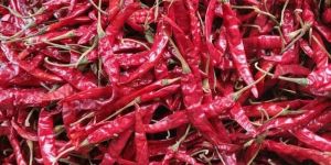 Dry Chilli