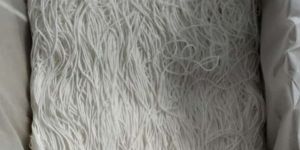 Surgical Earloop Elastic