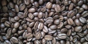 Robusta Roasted Coffee Beans