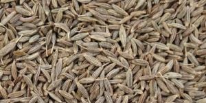 Brown Cumin Seeds