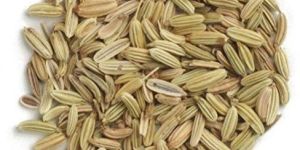 Fennel Seeds