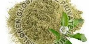 Bhringraj Powder