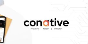 Web Design, Web Development