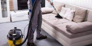 Sofa Cleaning Services