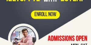 Visa Consultancy Services