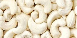 Cashew Nut w320