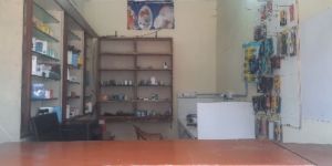 Mobile Sales Service