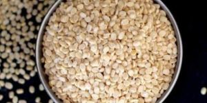 Indian Urad Dal