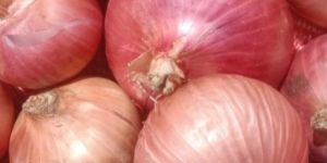 Red Onion