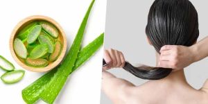 Aloe Vera Hair Shampoo Conditioner