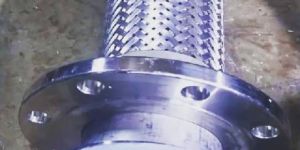 SS Braided PTFE Hose