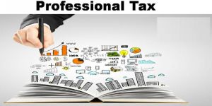 Professional Tax Registration Services