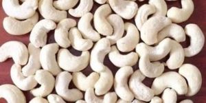 Cashew Nuts