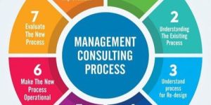 Business Consultants