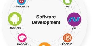 Software Development Service