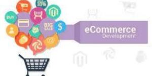 Ecommerce Web Design Services