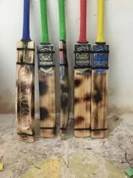 Kashmir Willow Bats