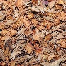 Natural Magizham Poo Spanish Cherry Flower