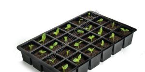24 Cavity Seedling Tray