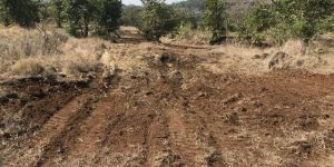 Agriculture Land Sale