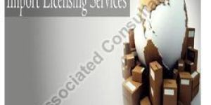Import Licensing Services