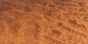 Regular Jaggery Powder