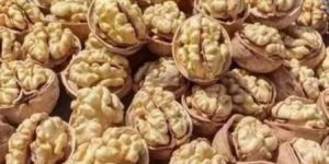 Walnut Kernels