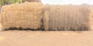 Coir Fiber Bales