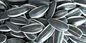 Sunflower Seeds