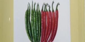 Hybrid Chilli Seeds