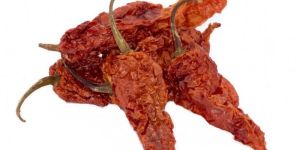 Dry Ghost Pepper