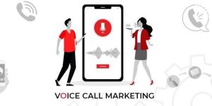Voice Call Service