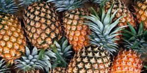 Fresh Pineapple