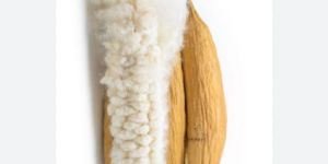 Kapok Cotton