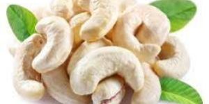 Cashew