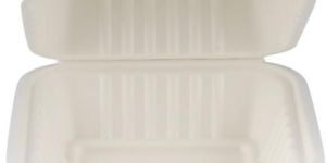 500 Pieces Biodegradable Square 6 Inch Burger Box - Natural Disposable