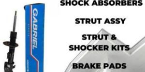 Shock Absorbers Strut