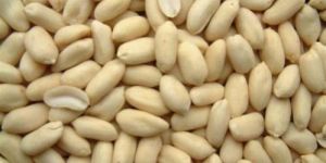 Blanched Groundnut Kernel