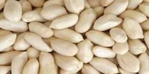 Blanched Java Peanuts
