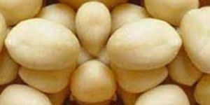 Blanched Peanut Kernels