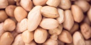 Dried Peanut Kernel