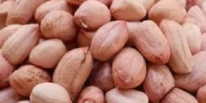 Indian Raw Peanut