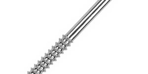 Malleolar Screw