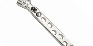 DHS Plate with Support