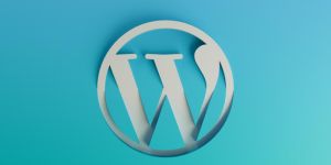 Wordpress Development Services