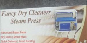 Fancy Dry Clean Steam Press